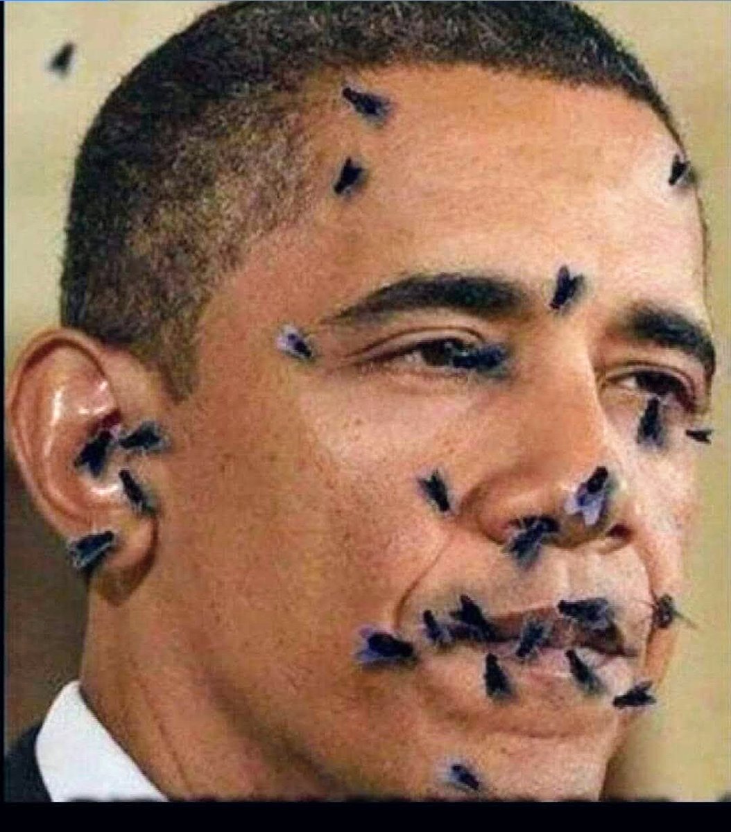 yetter_andy's tweet photo. @TrumpsHurricane TRASH X 2 https://t.co/o3GtJTnjCv