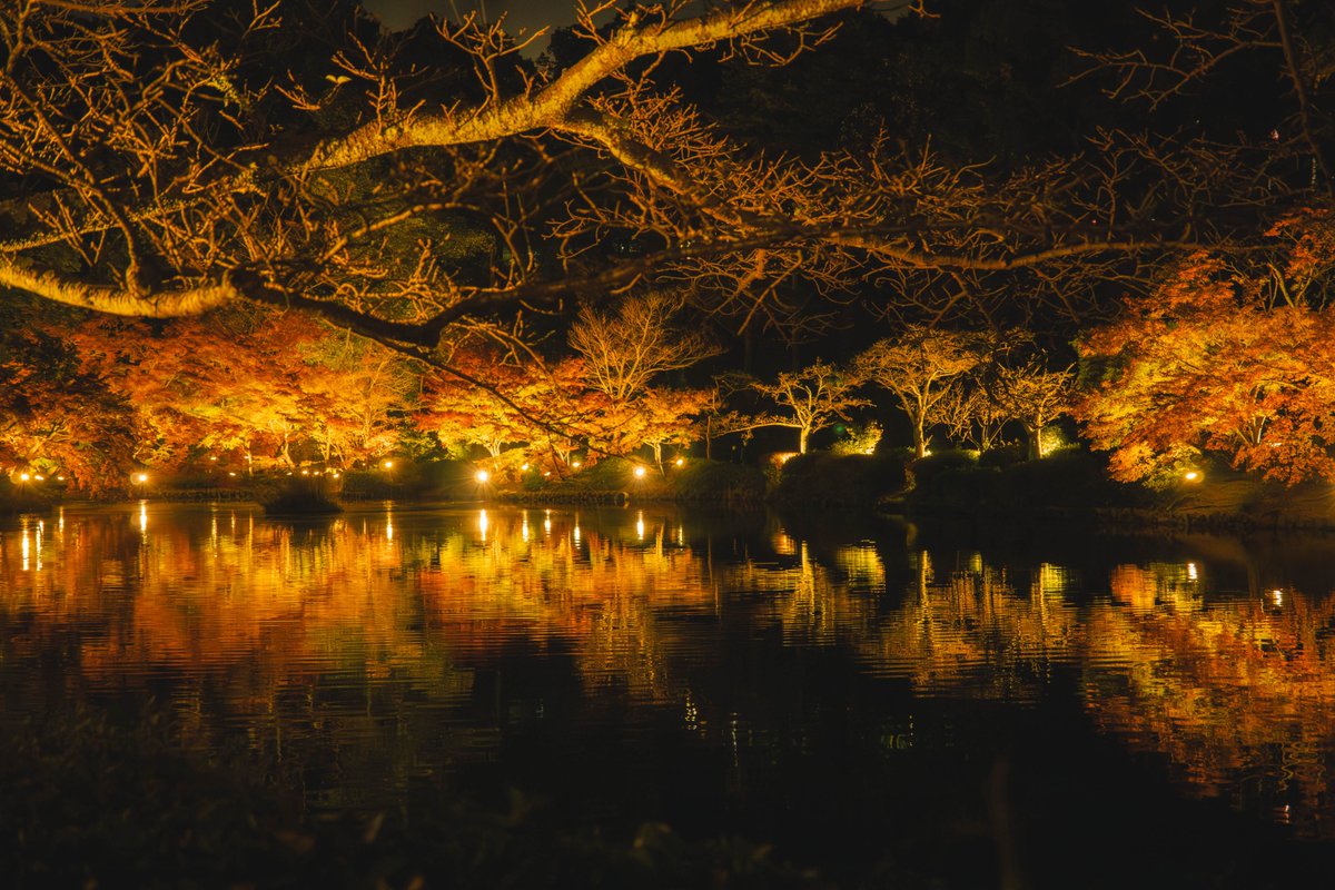 これも見てほしい