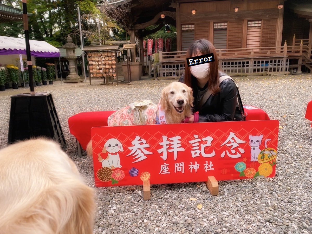 はぐちゃん七五三だったよ(*∩´꒳`∩*)