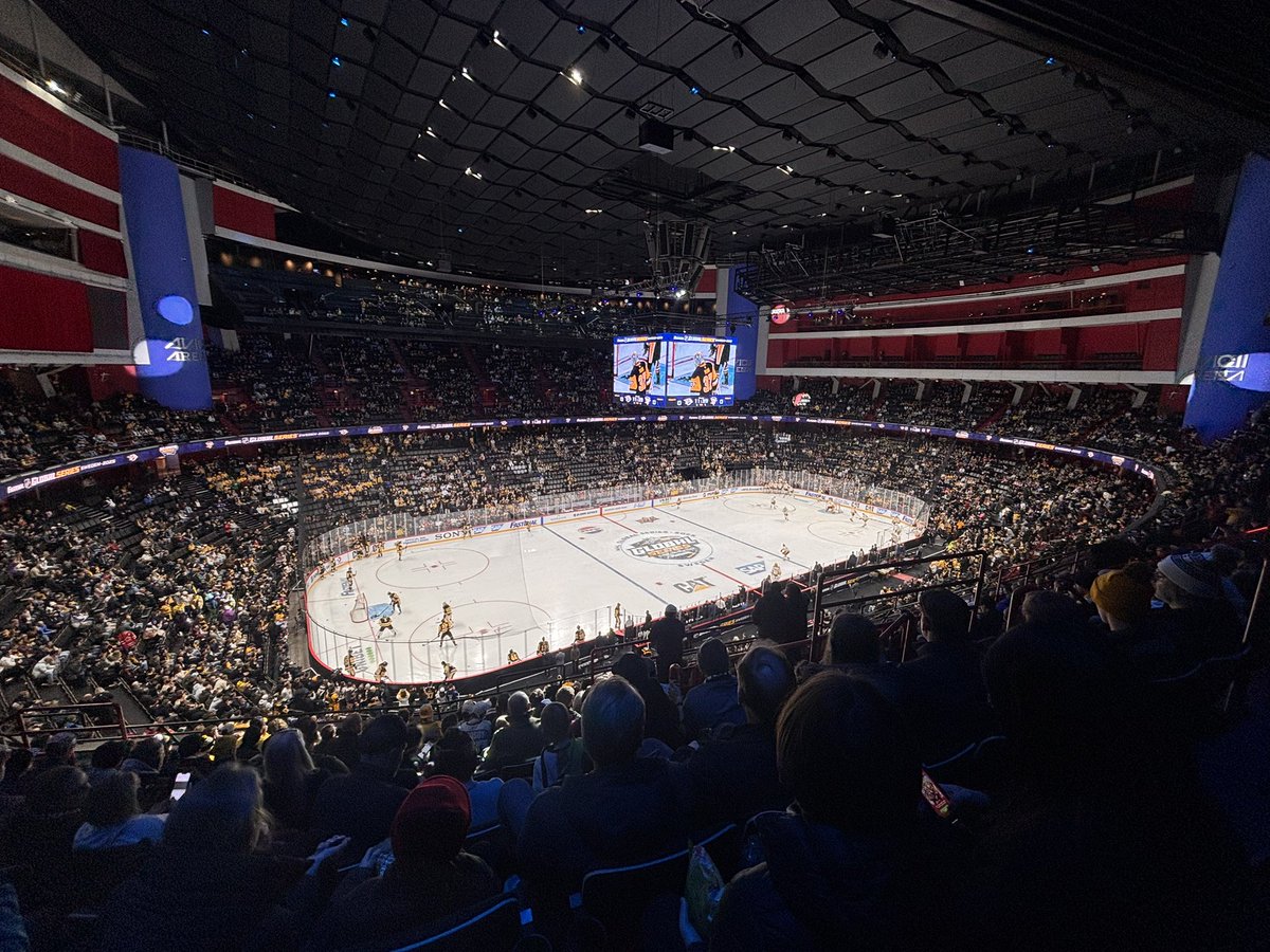 Dream come true 🏒🇸🇪