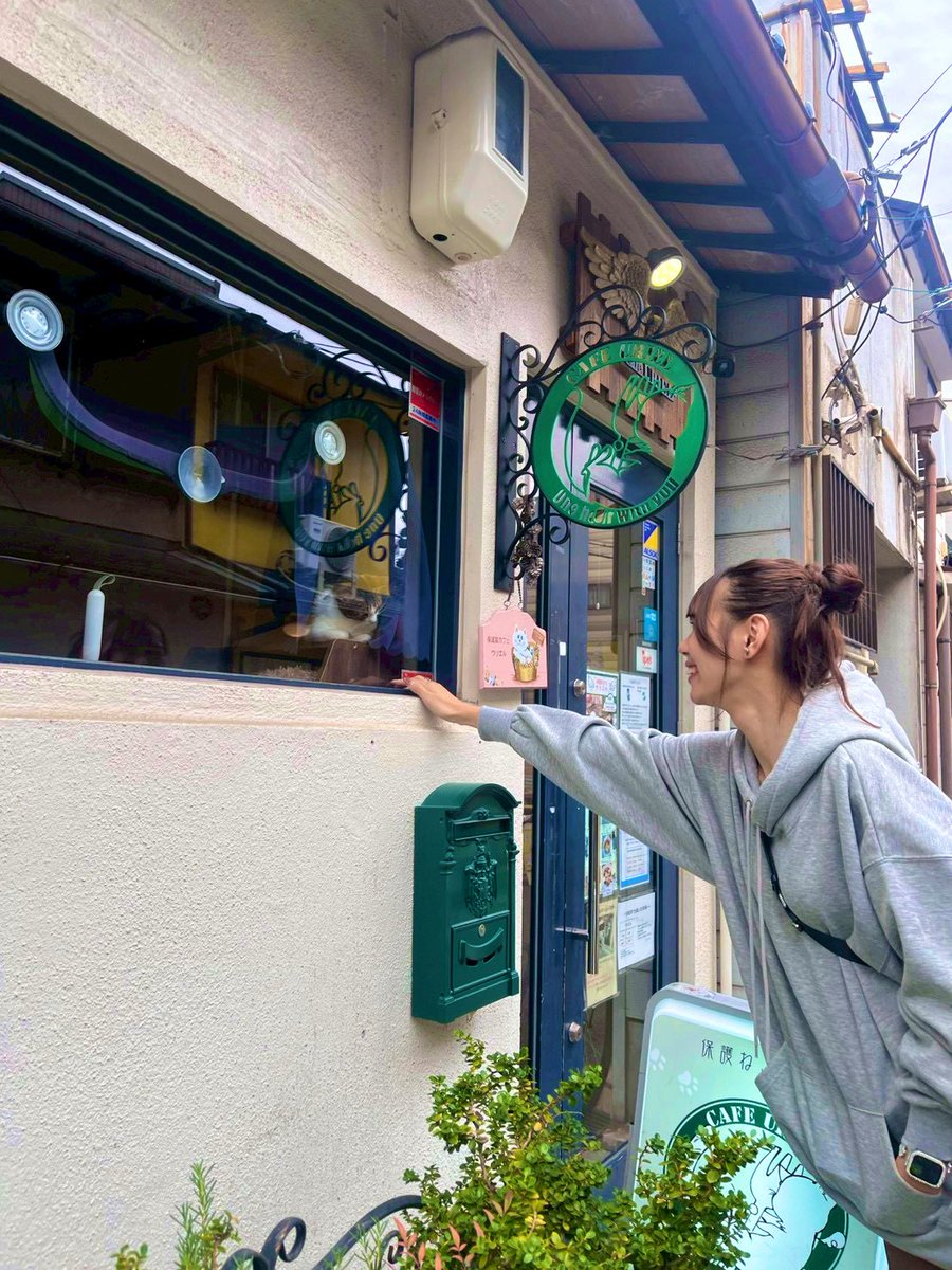 ooohisuiooo's tweet photo. こうしてまんまと猫カフェに吸い込まれる https://t.co/xh1mcFLjLr