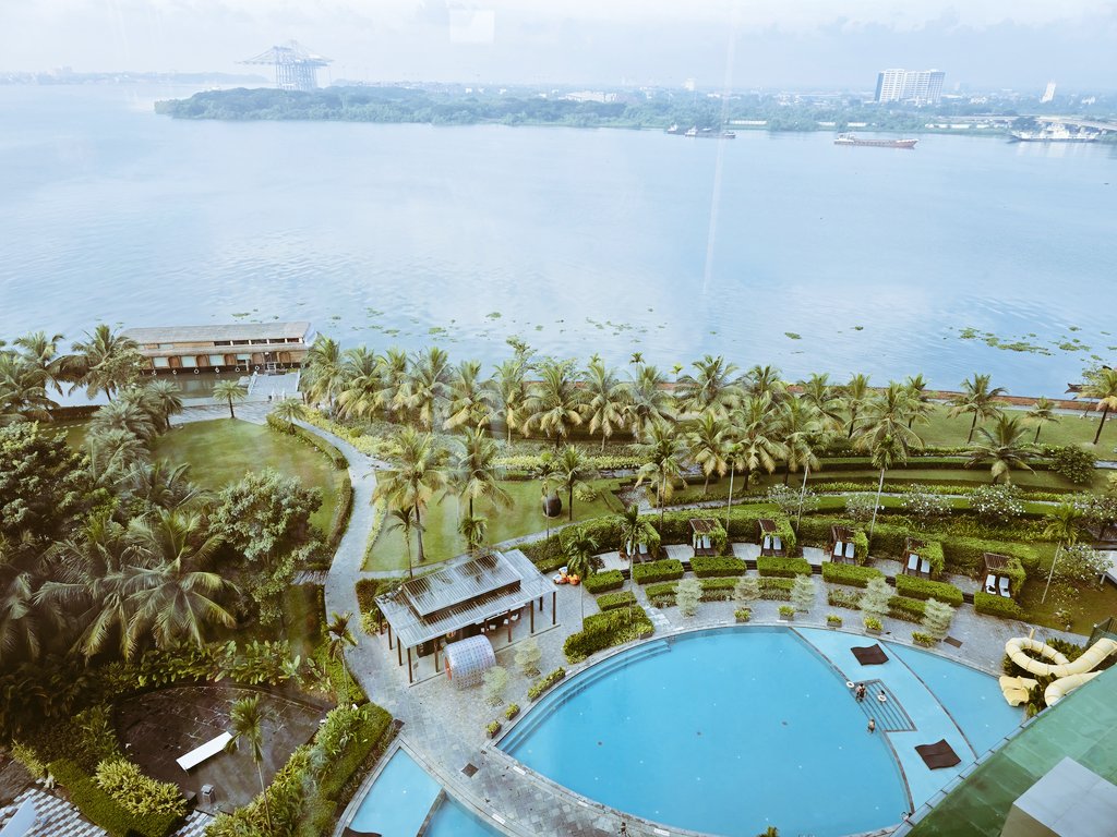 docwithepilepsy's tweet image. 