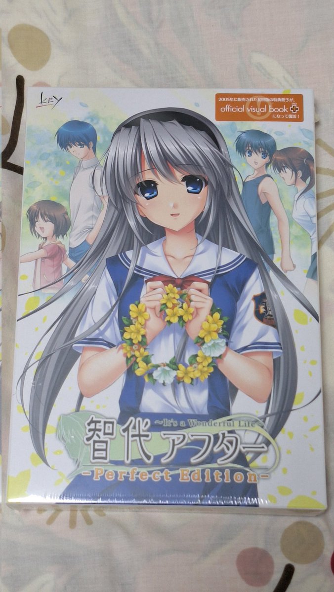 RT @sho_miya23: 最大の成果③ 智代アフターperfect edition これ