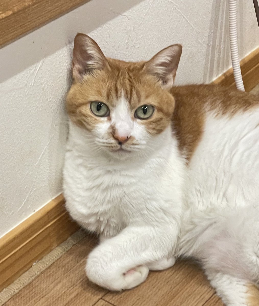 カンナ (@kanna1129) / Posts / X