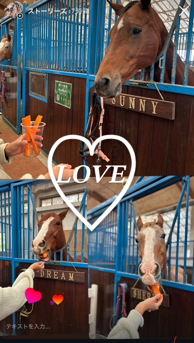 💎🧸💗🦇𝑚𝑜𝑚𝑜♡ 🗞🤖🎋🇫🇷🎹🎸 (@mooa_v) / Posts / X