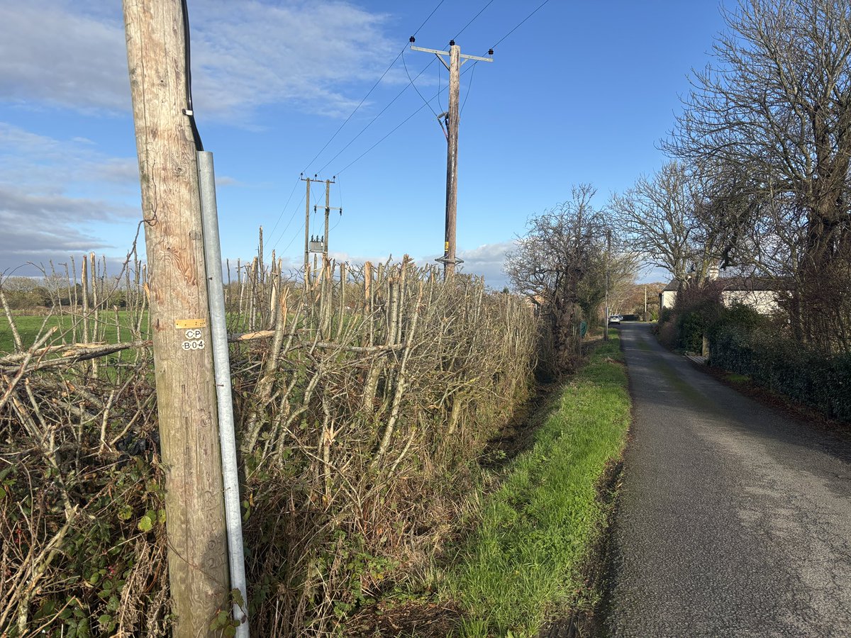 WyresAndy's tweet image. #mooch #trees