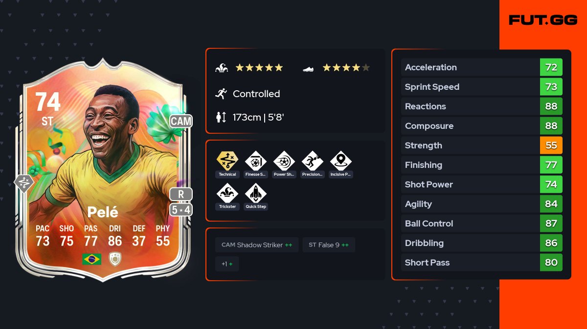 FANSDEFUT tweet media