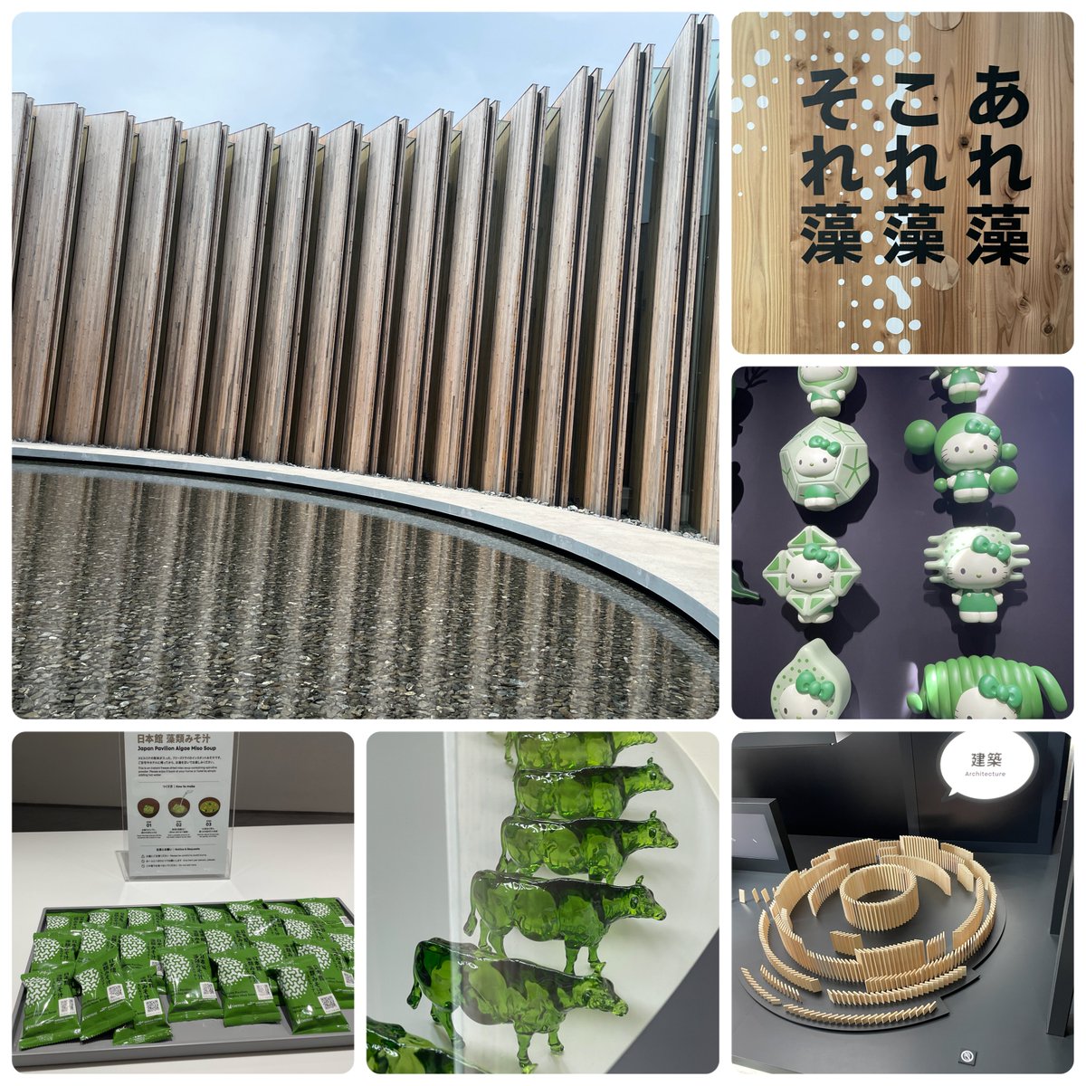 ラムネ (@msy_cat) / Posts / X