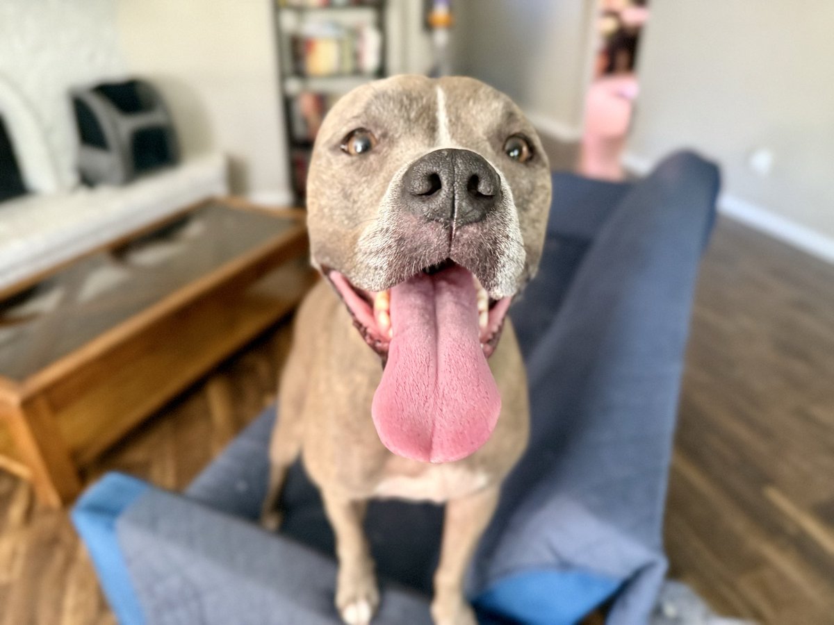 LFGweb3's tweet image. good morning from the kids 🌲☕️✌️