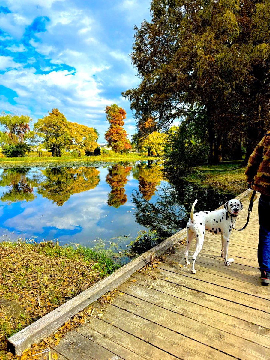 価値ある2連勝おめでとう㊗️
#今日はここから