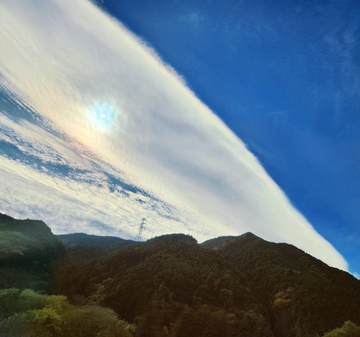 いい色の日と知って便乗