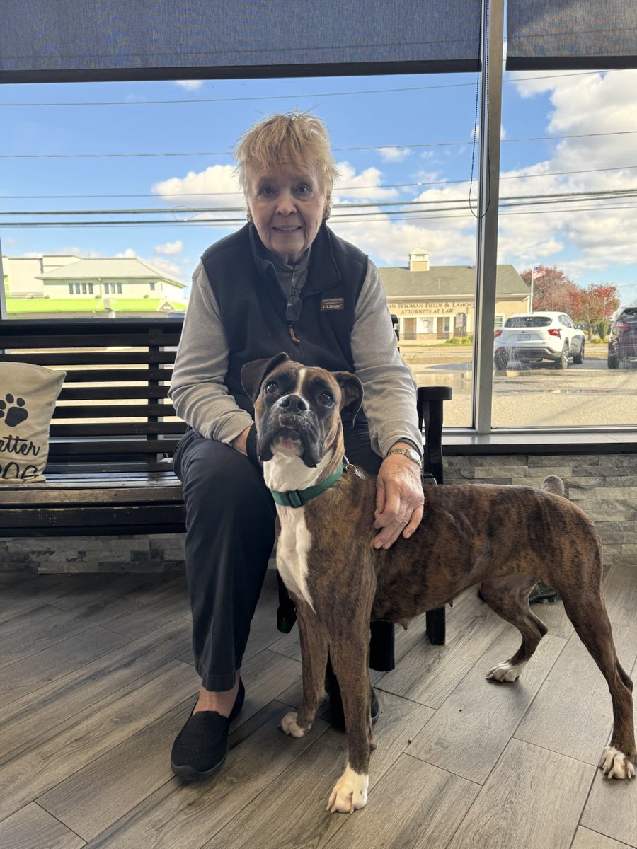 adopt_boxer's tweet photo. Happy adoption day Betsy ! You are a lucky girl and will be your new Moms world. #happylife #rescuedogs #boxerdogs #boxerworld #adoptdontshop #adopted #petsarefamily https://t.co/7Q5hj9Q4ht