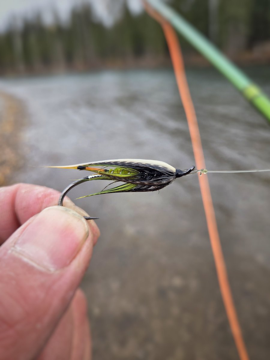 dougbwright's tweet image. #flyfishing #flytying #steelhead