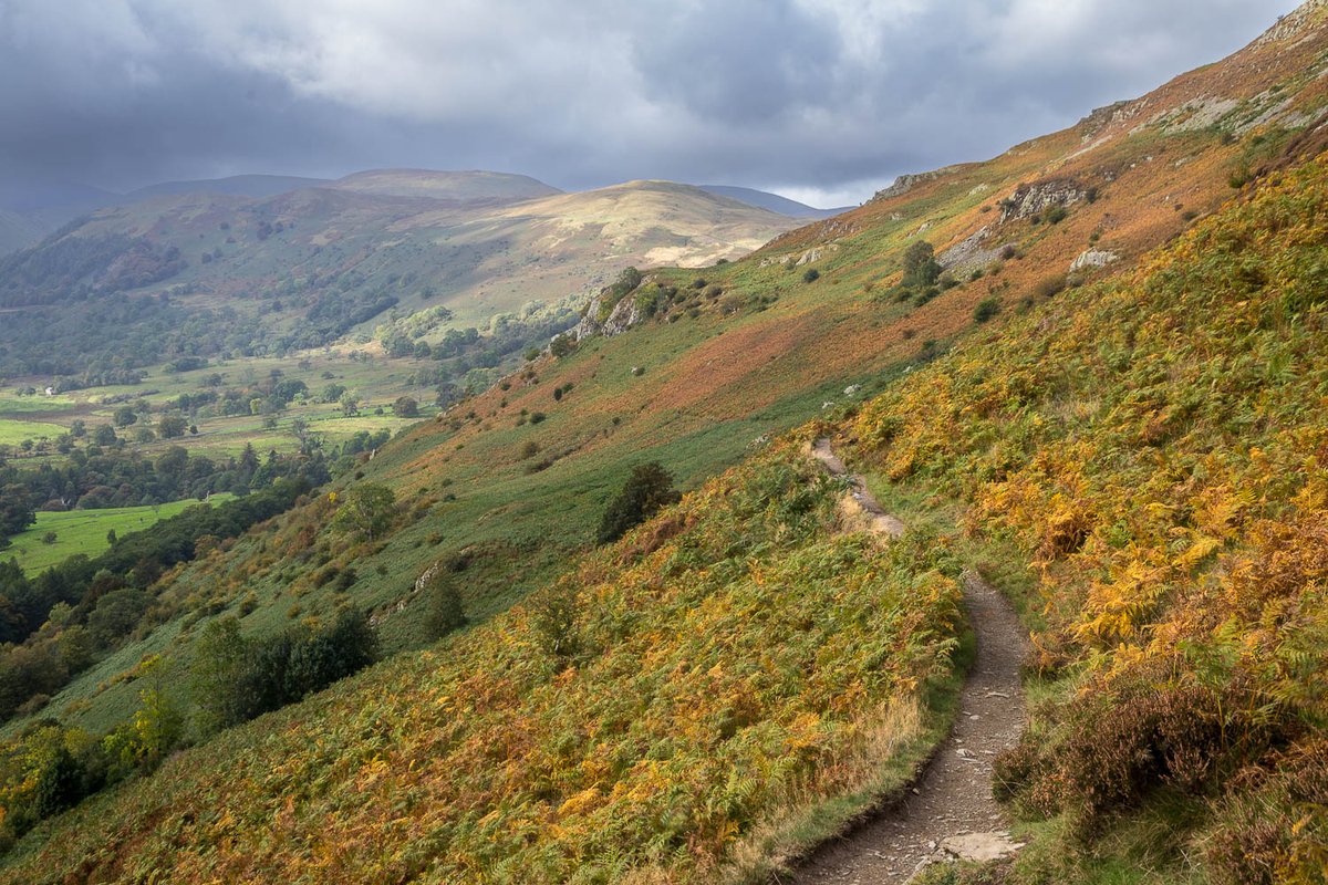 andrewswalks's tweet image. Autumn paths