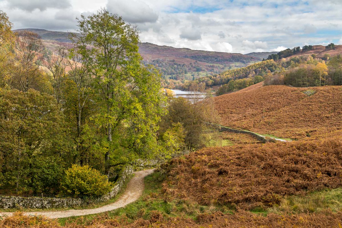 andrewswalks's tweet image. Autumn paths