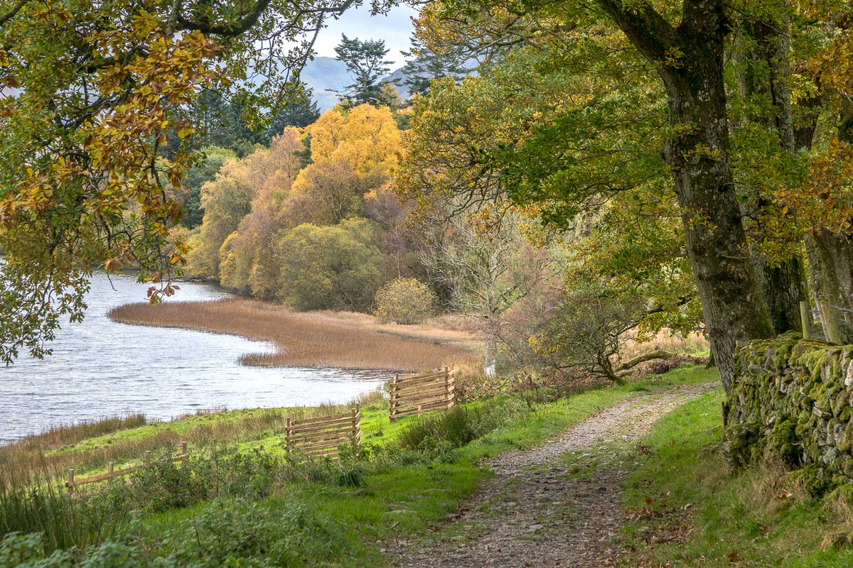 andrewswalks's tweet image. Autumn paths