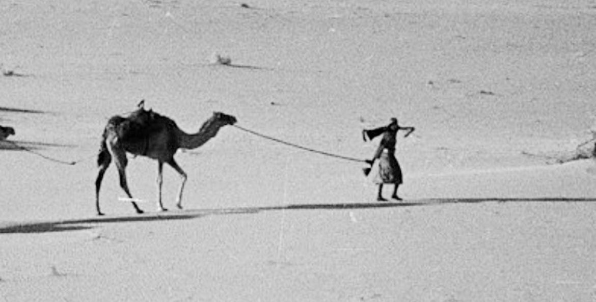 إلَهي وانا عبدك وأدل السنع واضيع 
ولاغيرك المدعي ولا غيرك المعني 

أنا أعوذ بك من ضيعةً مالها .. ترقيع 
الى ضاعوا أهل المعرفه لا تضيّعني 

من اللي يقول أن الفضا والبلاد وْسيع 
انا لي سنة والأرض ماهيب تاسعني

شتاتي كبير وصمتي أفضل من التسميع
ولا كل ما قالوا لي الناس يقنعني