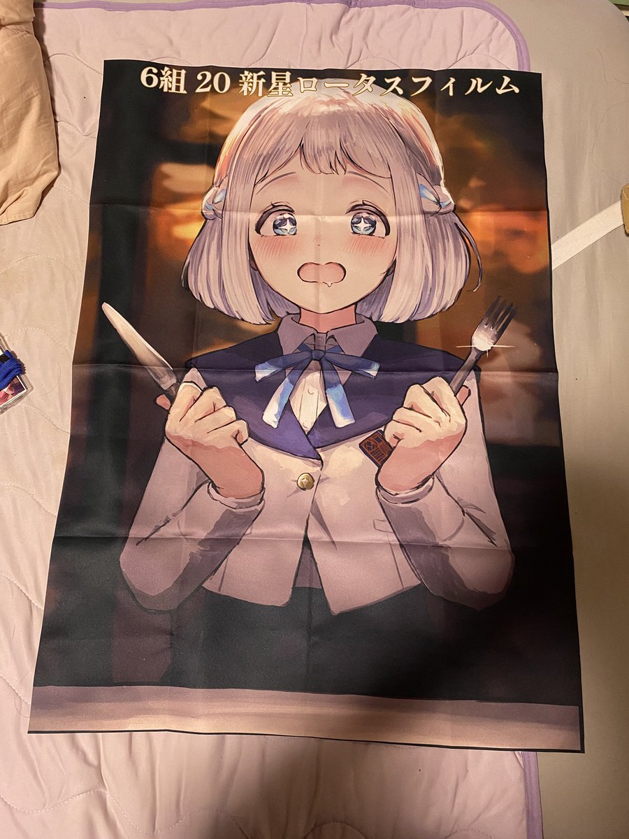 noctiluca_SC's tweet photo. ポスター狩りのやこーちゅうです
我が家にはSSFもGSFも寝なフェスもある https://t.co/up5GUD5rYC