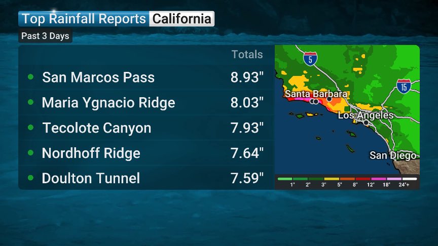 Veronica Dolan tweet media