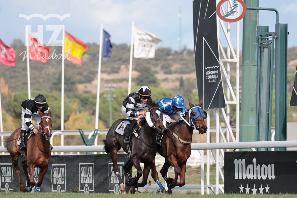 🐎Cachopo y Adri triunfan en las copas de criadores
🤩Con dos nuevas victorias hoy, <a href="/JanacekVaclav/">Vaclav Janacek</a> supera su mejor marca anual y llega a 85 triunfos
🏅Cachopo y Cudillero otorgan un nuevo doblete para el equipo de la Yeguada Rocío, <a href="/ArizkorretaR/">Arizkorreta Racing</a> y <a href="/JanacekVaclav/">Vaclav Janacek</a> 
📰Crónica de