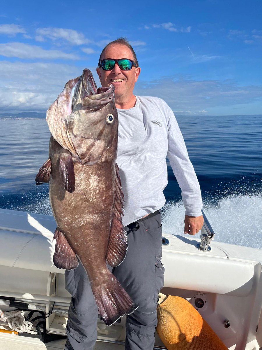 TomsCatchCom's tweet photo. 🎣 Tom’s Catch – November Fishing Update - Your monthly dose of sunshine, saltwater, and tight lines! Find all the latest catch reports &amp; coolest pics!! - https://t.co/Nuva2jdYLT https://t.co/xpj0QrYXhp