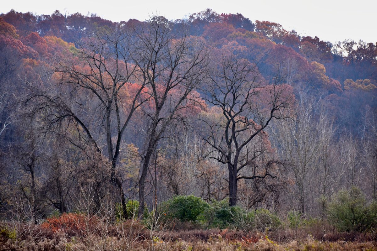 “How beautifully leaves grow old. How full of light and color are their last days.” – Writer and naturalist John Burroughs

Where have you been finding your #SundayPeace as autumn winds down?

Photo: JJ Prekop, Jr.