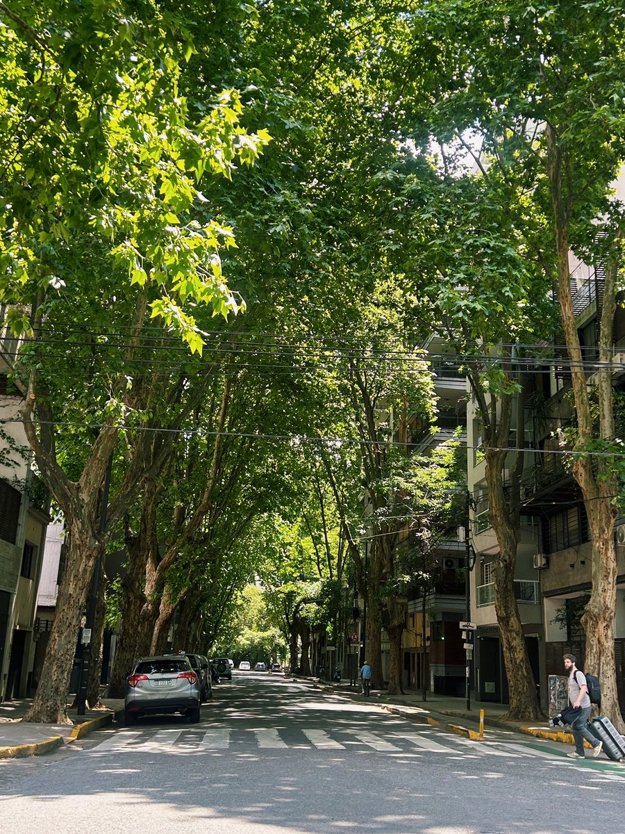 Las ciudades repletas de verde ganan por goleada a cualquier otra ciudad.