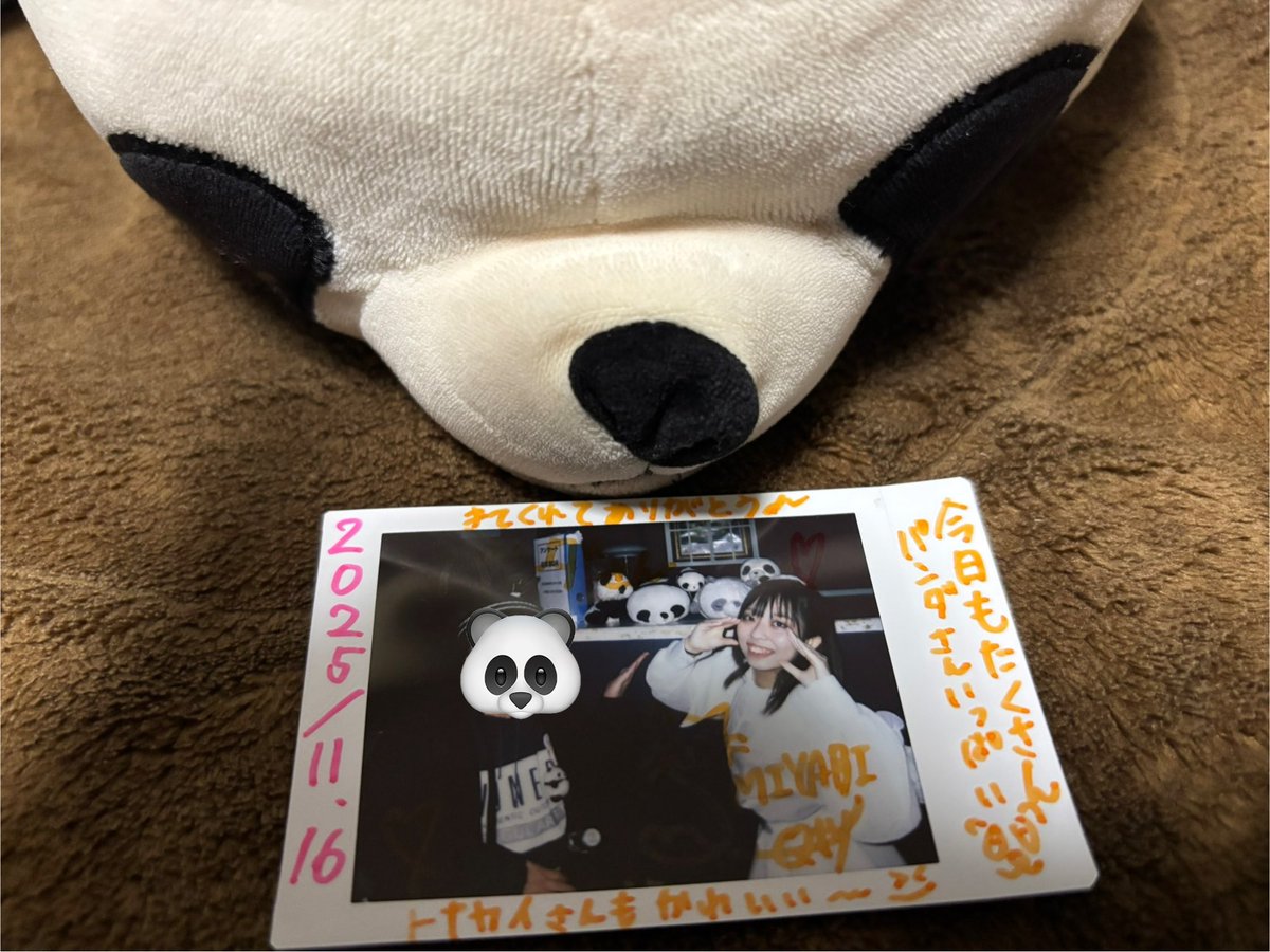 パンダちゃん様×4 PANDA (@zhangweiyo46521) on X