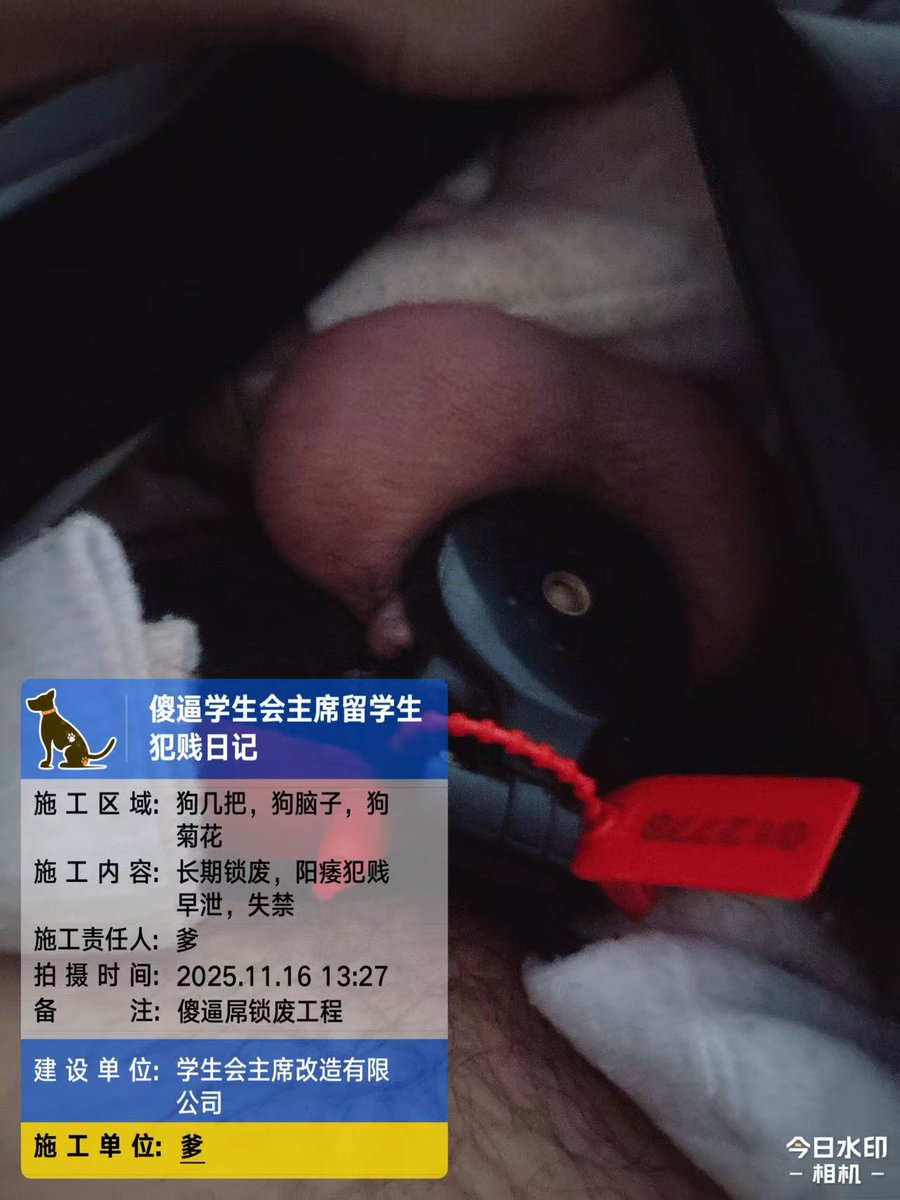 目前，对于学长狗的改造方法是，在1月20号定期排精之后，长期保持锁上锁状态，随机检查
#锁m #反差 #学长 #婊子 #锁主 #狗m #人模狗样 #人前人后 #学长