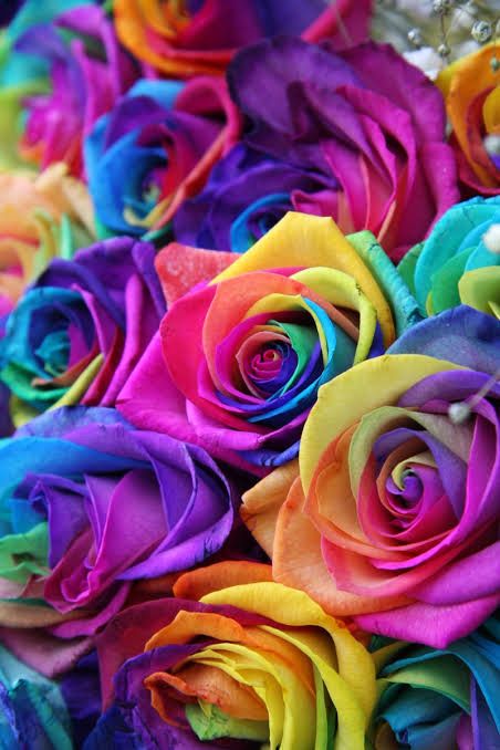 のぶちゃん (@Zxn9LICKUfwObuY) / Posts / X