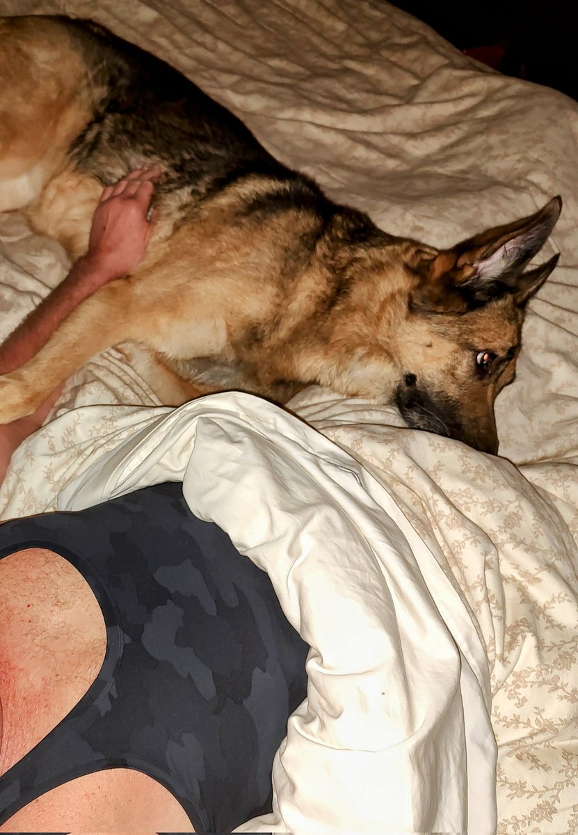 Steve Schroeder tweet media