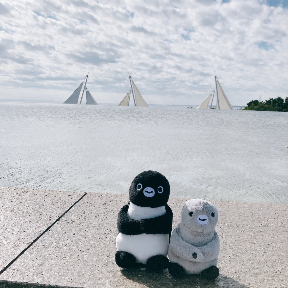 きんにくこ (@88ganaiyo) / Posts / X