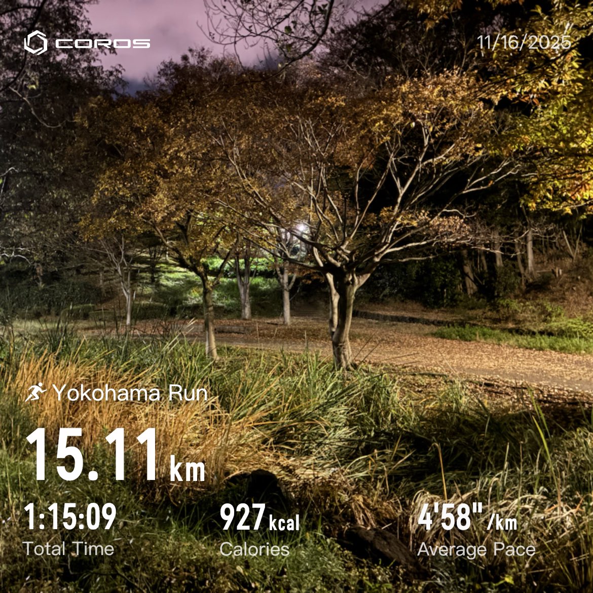 ラン
　E75分
　(11月合計191km/T112分)
#サブエガ  #coros #pacepro