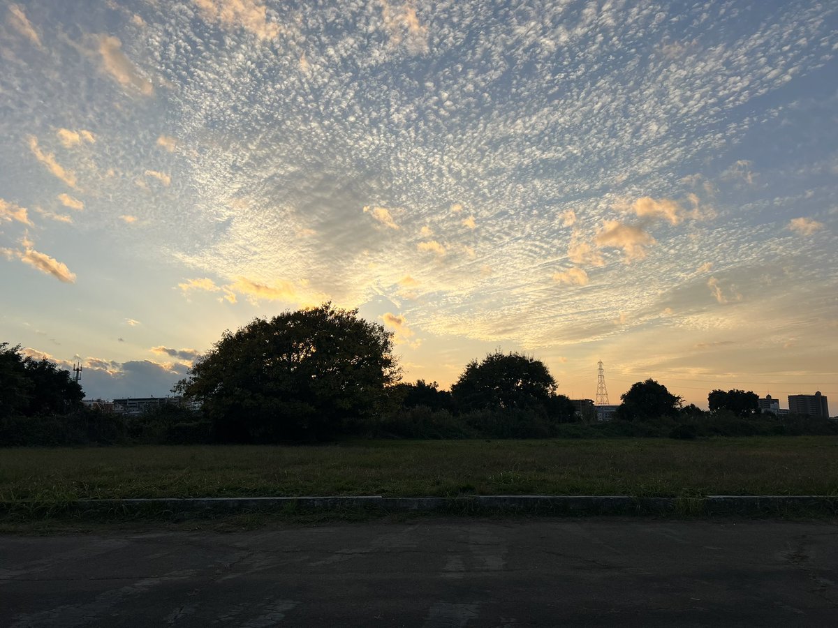 多摩川ほんと綺麗なんだよな