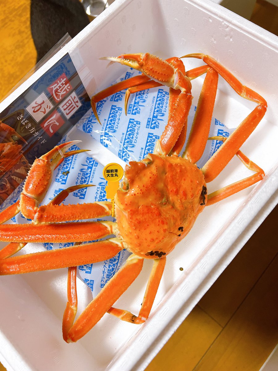 kmdr_p's tweet image. お土産に叩き売りしてたオス越前ガニ2杯買ってきて晩餐！安い🤗身の後は日本酒入れて、ストーブの上で焼いて甲羅酒♨️カニに感謝🦀カニを讃えよ🦀