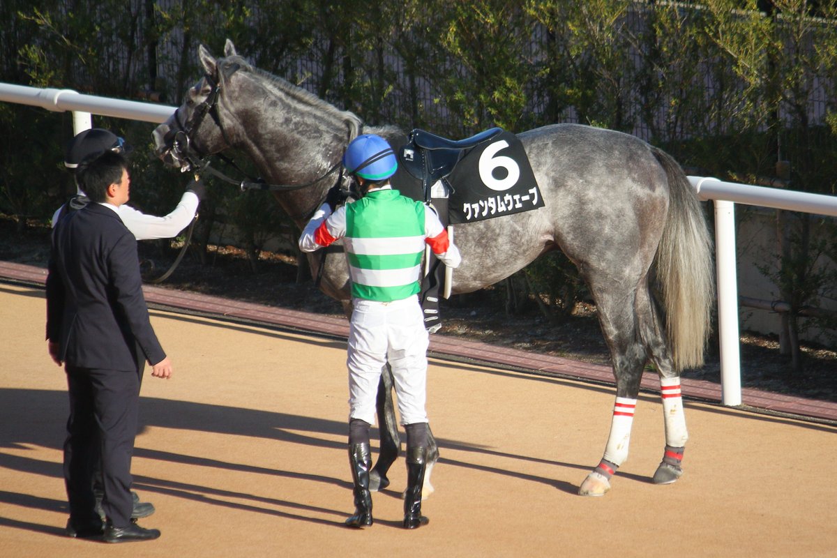 2178❣️ 瑪瑙　馬　唐馬　戦闘馬 馬術】まほろばサマーホースショーMiki2023 KINOKEN ＆ BANDITO60