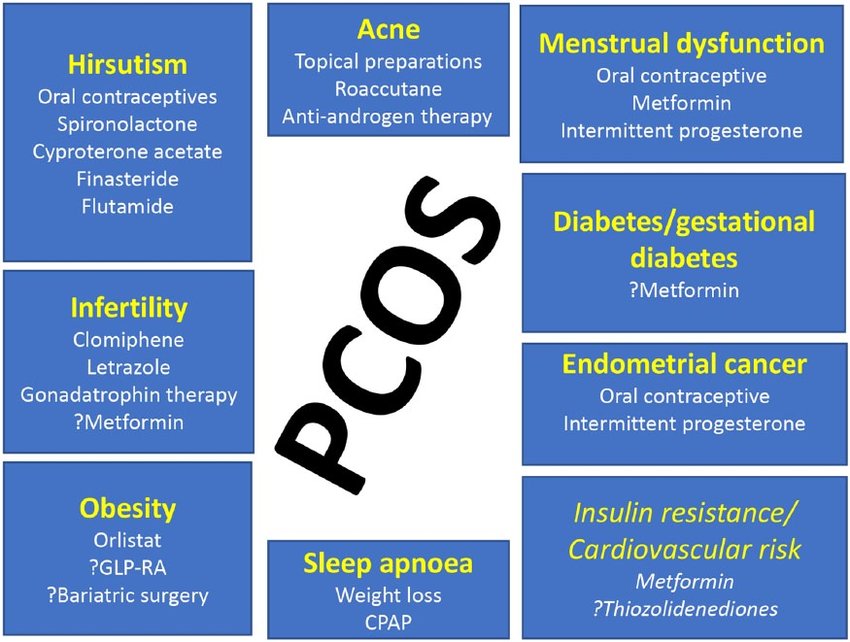 VivaHealthyLife's tweet image. PCOS (Polycystic Ovarian Syndrome) 

Treatment for PCOS is challenging and complicated. With all the polymorphisms of this condition, all the symptoms of PCOS must be dealt with...
Read more: philaacupuncture.com/pcos-polycysti… 
#pcos 
#pcosawareness 
#polycisticovariansyndrome 
#obgyn