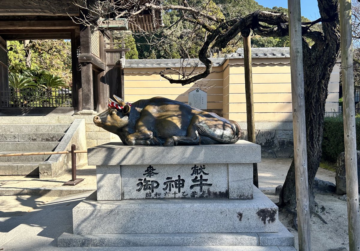 しらたま🦀 (@remembermereme) / Posts / X