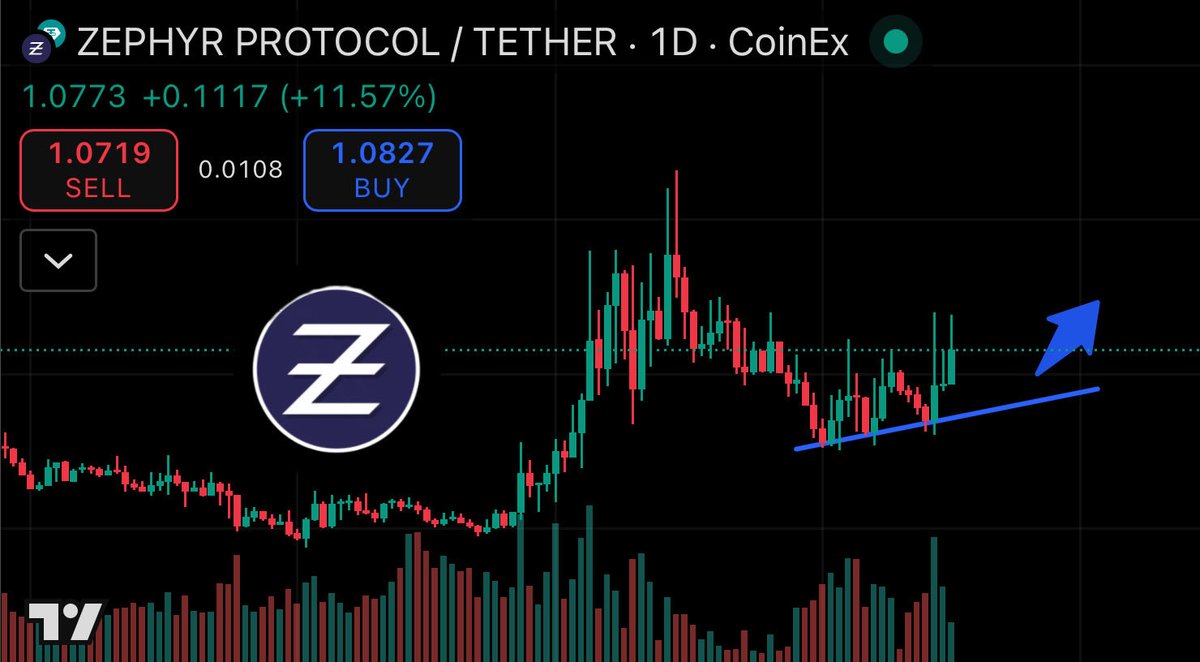 BHA.CPN | 🥷🇳🇱 tweet media