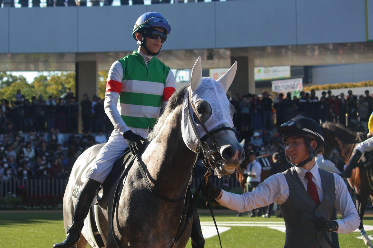 norauma (@norauma5) / Posts / X