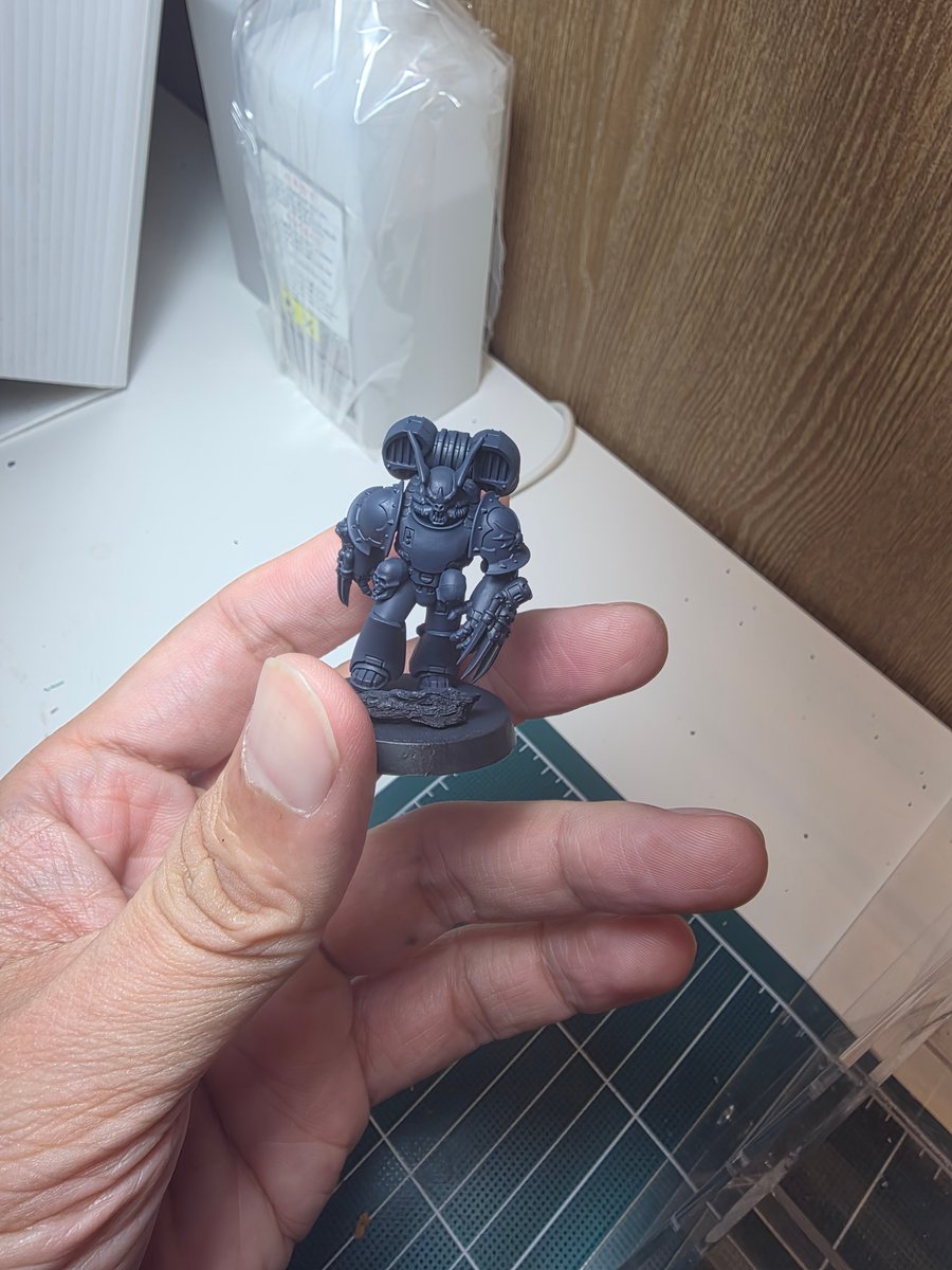 오늘의 도색
에어브러시로 헤러시 지금 쓰는 블러드엔젤 보병 밑색완료
겸사겸사 나이트로드도

#워해머 #하비카페에이스 #호루스헤러시