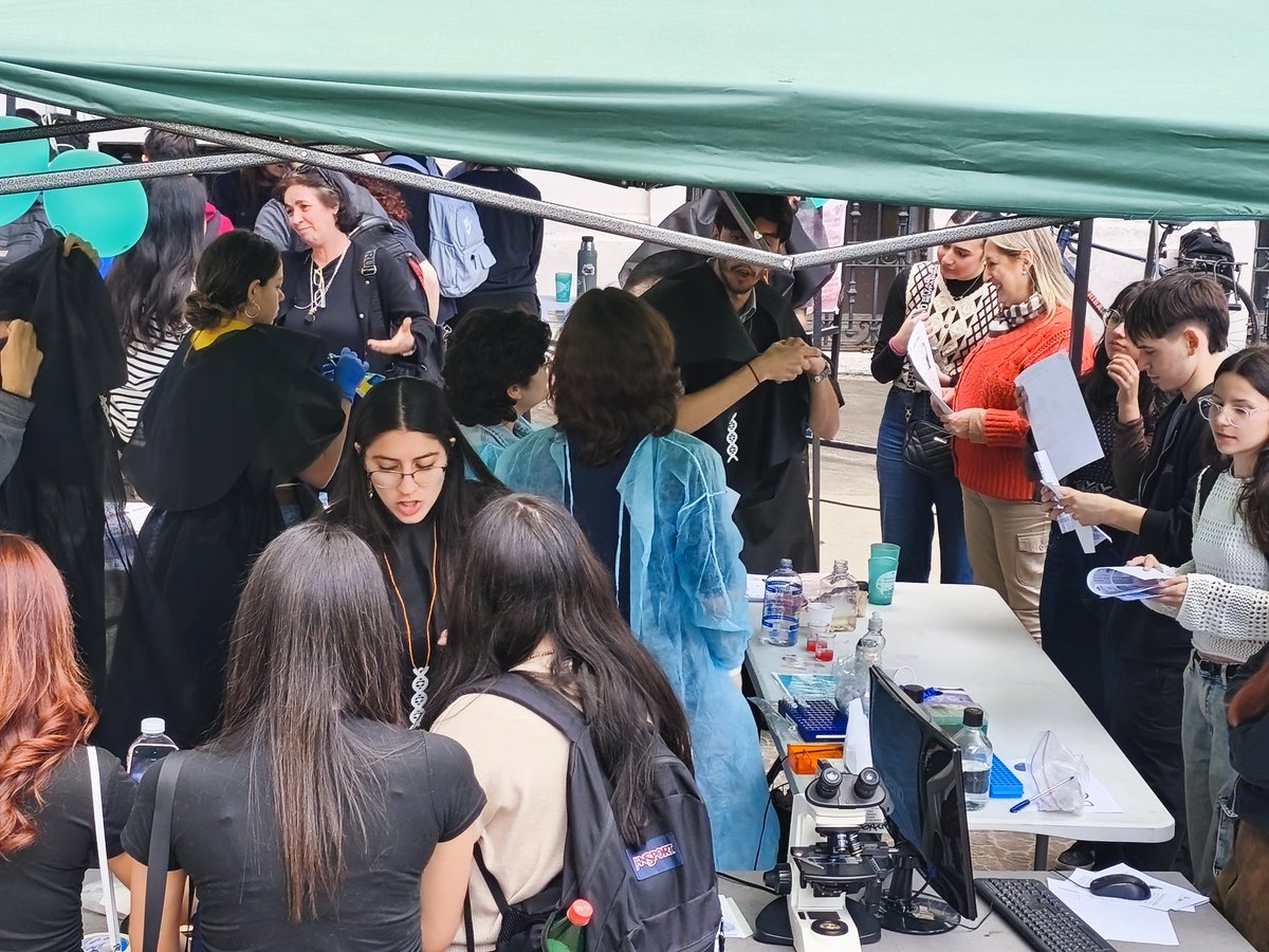 Mónica Cappetta tweet media