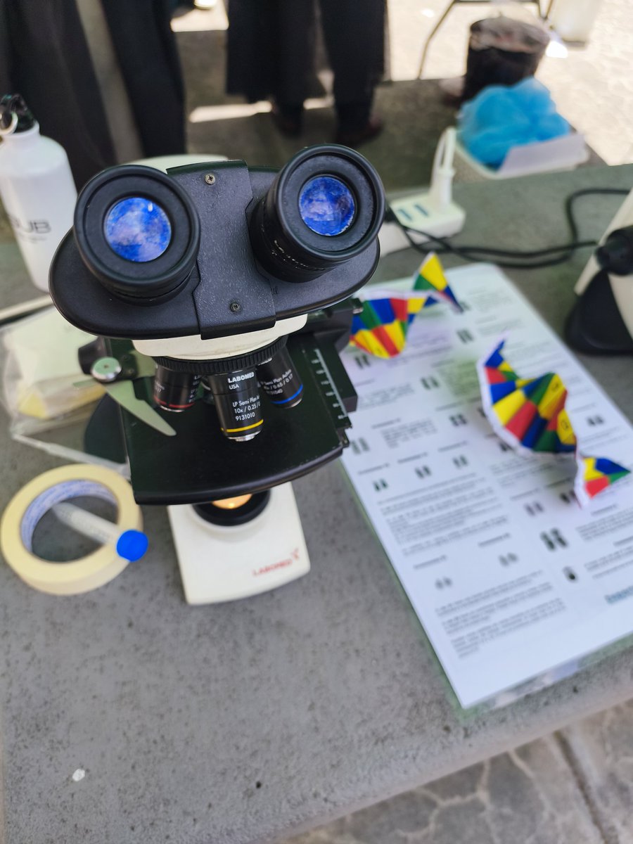 Mónica Cappetta tweet media