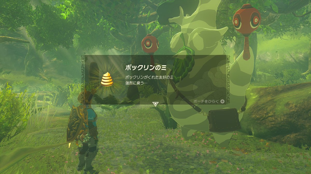 ティアキン、コログコンプリート。