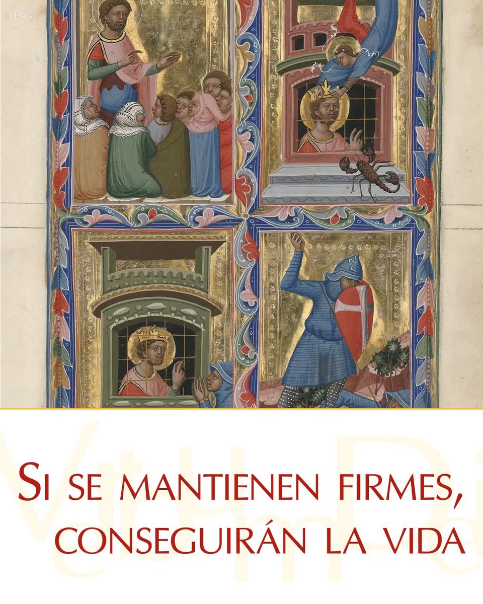 🟢 ORDINARIO, FERIA
DOMINGO XXXIII DEL TIEMPO ORDINARIO 
"Si se mantienen firmes, conseguirán la gloria"
<a href="/LilianaSnchez9/">Liliana Sánchez 🇦🇷♌🦁</a> <a href="/poctavio65/">Octavio Martínez</a> <a href="/AgustnGonzlezO1/">Padre Agustín G.O</a> <a href="/Pdre_Rafa/">Padre Rafa</a> <a href="/ximetar/">Joaquin C Guardiolaﻥ</a> <a href="/jalisco52/">Unreal</a> <a href="/EliMorales0837/">Eli Morales</a> <a href="/irmaalvarez3210/">@IrmaAlvarez3210</a> <a href="/ggabins/">gabriela nuñez 🇻🇦</a> <a href="/newkike1/">@newkike</a> <a href="/_GabyRubio/">Gabriela</a> <a href="/ElsaCasP/">Elsa Castillo</a> <a href="/XimPete/">Familia Olguin Pobl</a> <a href="/pgnora/">Nora Piña Ghazzaoui</a>