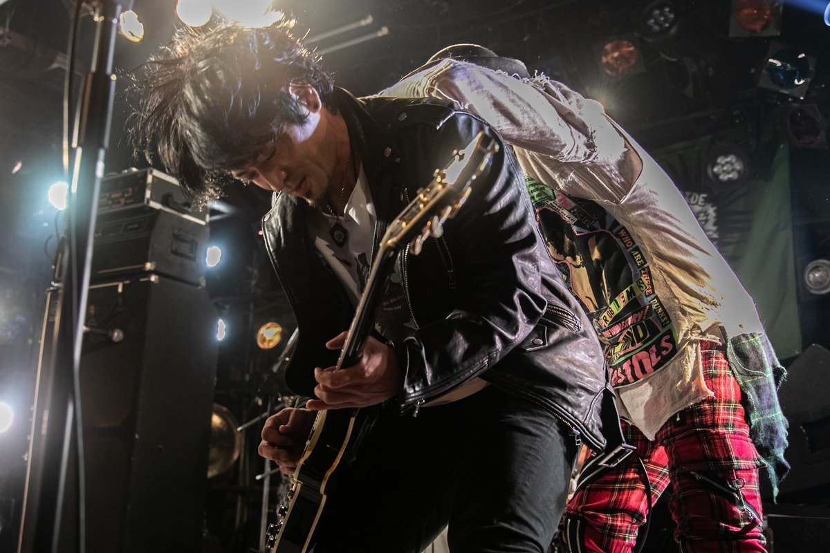 FUNGUS_shibagaki (@FUNGUS_shiba) / Posts / X