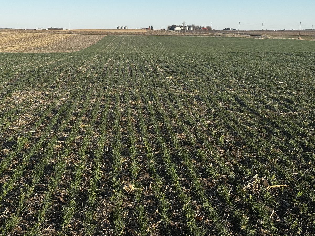 Shay Foulk tweet media