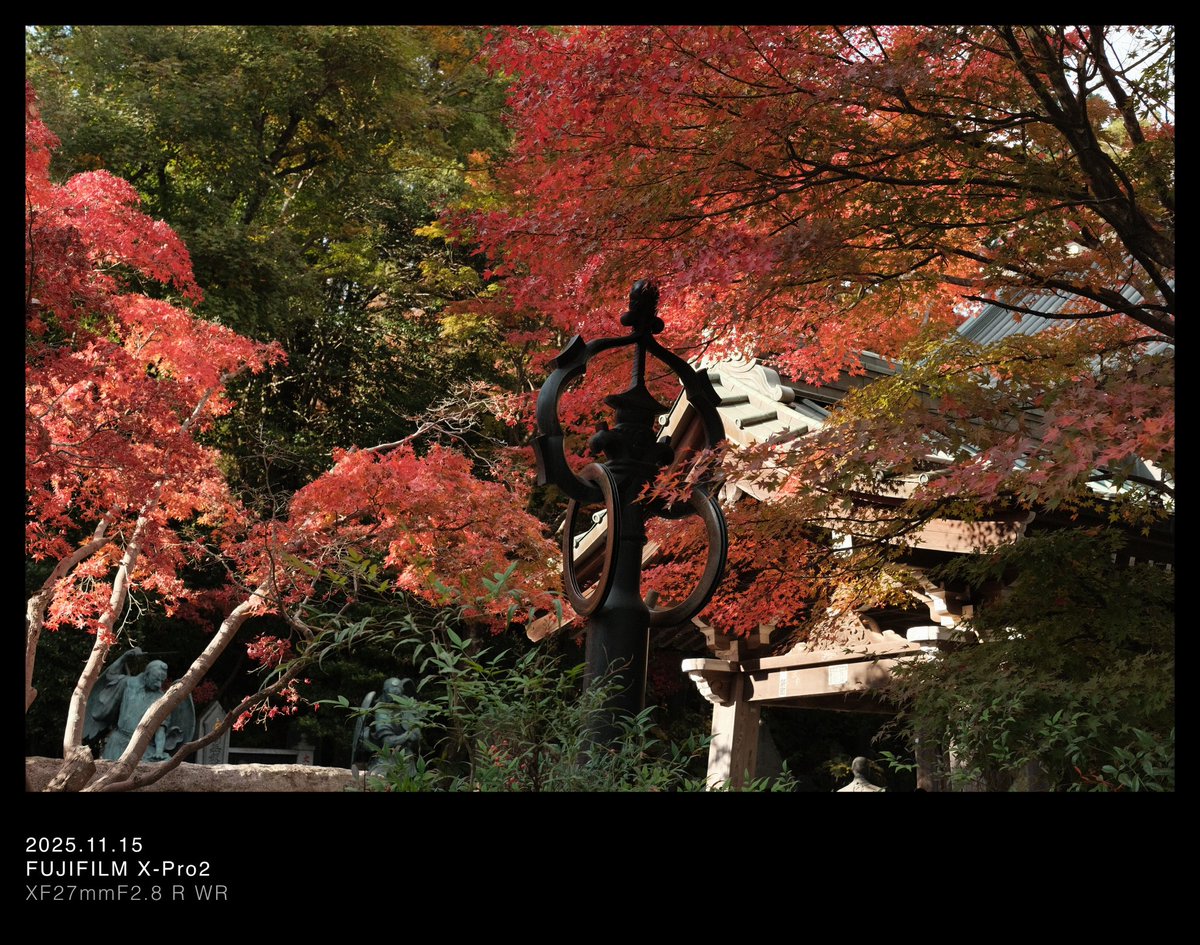 nyannohibi's tweet photo. 紅葉🍁

📍高尾山

#写真が好きな人と繋がりたい  #カメラ好きな人と繋がりたい https://t.co/JcS5ZdqPbo