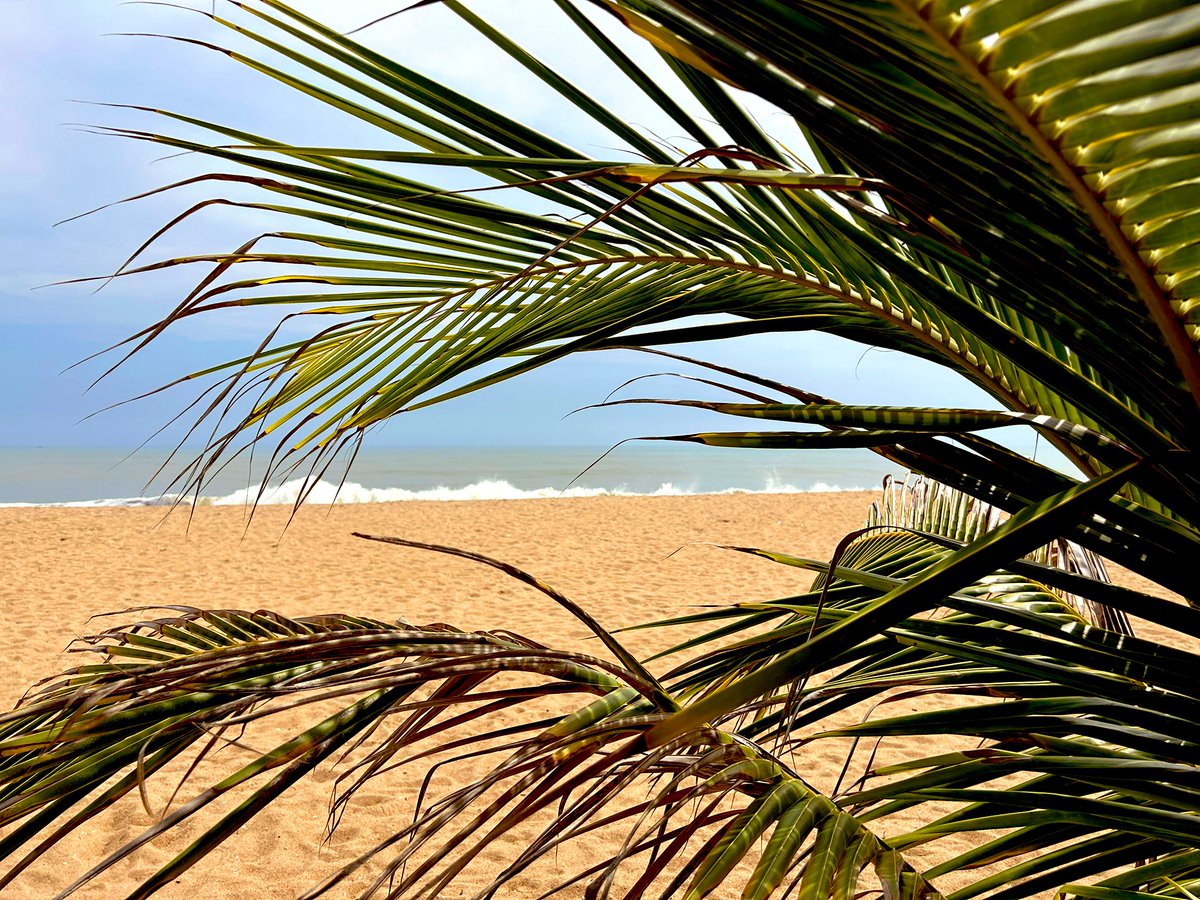 AmbAllBenin's tweet image. Quelques jours de repos à la #plage 🏝️
Je ne veux plus vivre loin de la mer 🌊
Merci #Bénin 🇧🇯