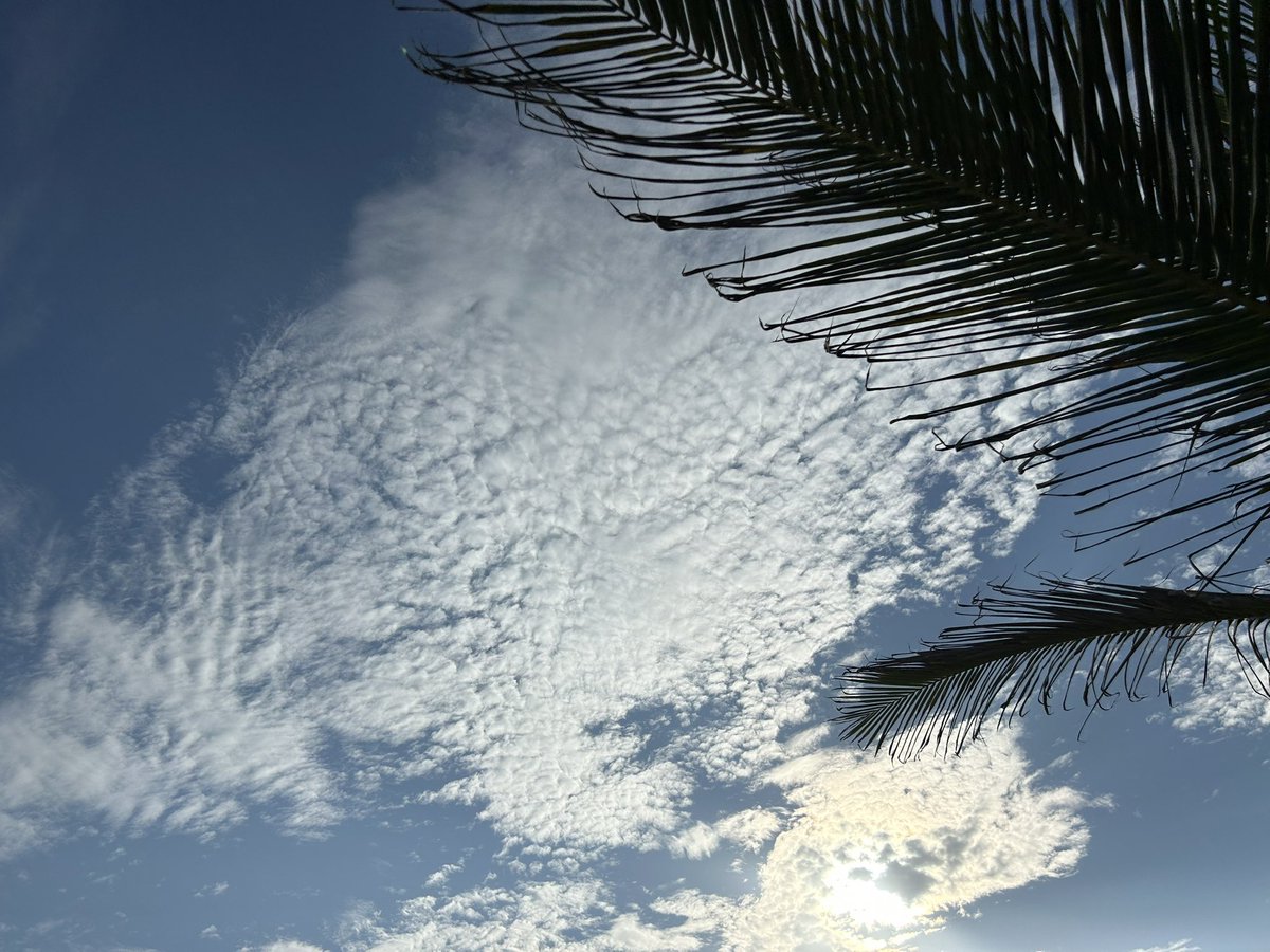 AmbAllBenin's tweet image. Quelques jours de repos à la #plage 🏝️
Je ne veux plus vivre loin de la mer 🌊
Merci #Bénin 🇧🇯